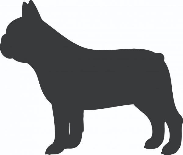 French Bulldog Key Chain - Image 2