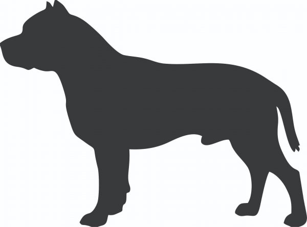 Staffordshire Bull Terrier Bottle Opener - Image 2