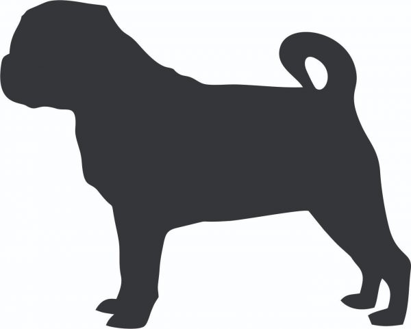 Pug Dog T Shirt Chest Print - Image 2