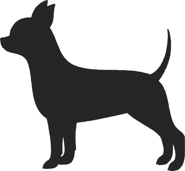 Chihuahua Vest - Image 2