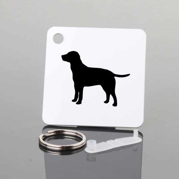 Labrador Retrievers Key Chain