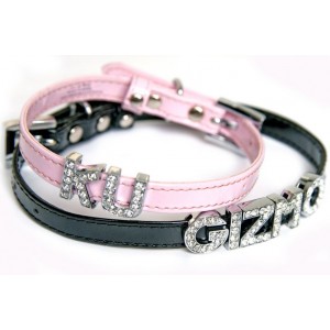 Pimp My Name Personalised Dog Collar