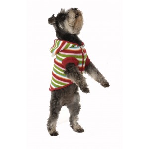 Rainbow Dog Cardigan