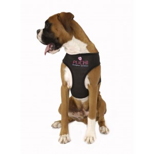 Waffle Dog harness and Lead in Black